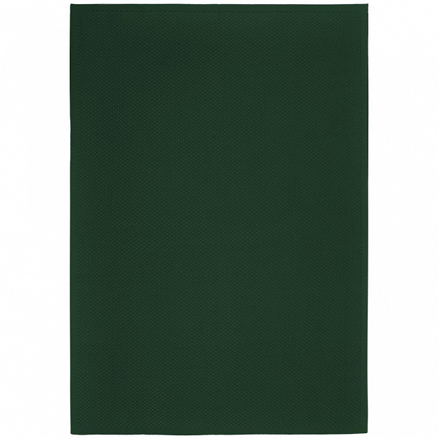Плед Sheerness, темно-зеленый с логотипом в Нефтекамске заказать по выгодной цене в кибермаркете AvroraStore