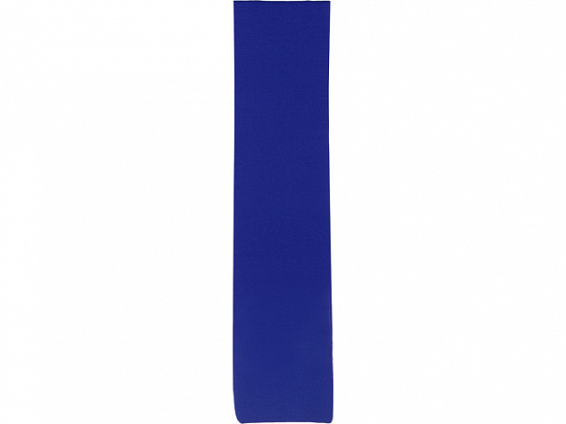 Шарф Dunant, классический синий с логотипом в Нефтекамске заказать по выгодной цене в кибермаркете AvroraStore