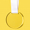 Медаль GLORY в подарочной упаковке, 70х66х5 мм, акрил с логотипом в Нефтекамске заказать по выгодной цене в кибермаркете AvroraStore
