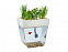 Набор для выращивания растений и ухода за рыбкой Акваферма с логотипом в Нефтекамске заказать по выгодной цене в кибермаркете AvroraStore