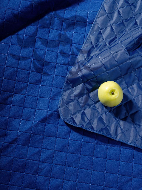 Плед для пикника Soft &amp; Dry, ярко-синий с логотипом в Нефтекамске заказать по выгодной цене в кибермаркете AvroraStore