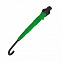 Зонт-трость механический  Chaplin, черно-зеленый с логотипом в Нефтекамске заказать по выгодной цене в кибермаркете AvroraStore