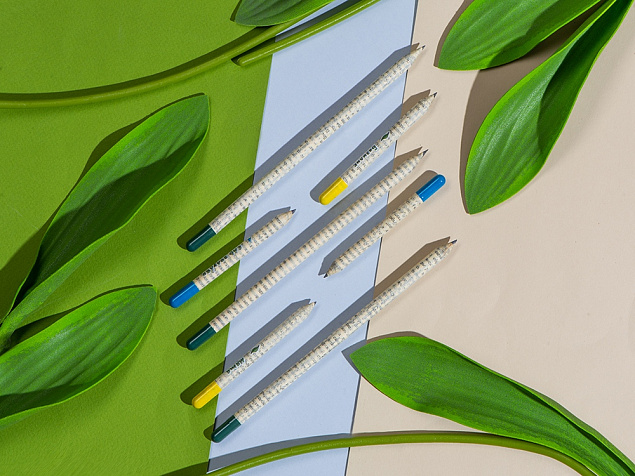 Набор «Растущий карандаш» mini, 2 шт. с семенами голубой ели и сосны с логотипом в Нефтекамске заказать по выгодной цене в кибермаркете AvroraStore