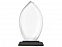 Награда Flame с логотипом в Нефтекамске заказать по выгодной цене в кибермаркете AvroraStore
