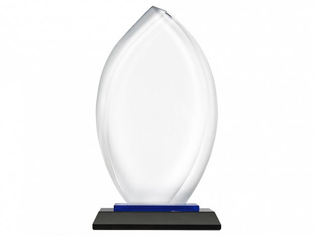 Награда Flame с логотипом в Нефтекамске заказать по выгодной цене в кибермаркете AvroraStore