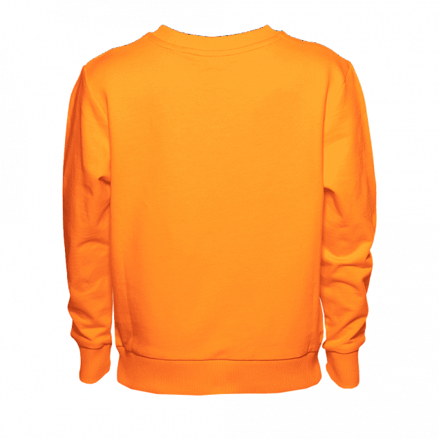Толстовка  Оранжевый с логотипом в Нефтекамске заказать по выгодной цене в кибермаркете AvroraStore