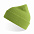 Шапка NELSON в рубчик с отворотом,100%  органический хлопок, зеленое яблоко с логотипом в Нефтекамске заказать по выгодной цене в кибермаркете AvroraStore