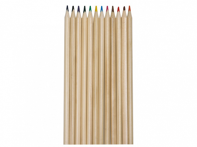 Набор из 12 трехгранных цветных карандашей «Painter» с логотипом в Нефтекамске заказать по выгодной цене в кибермаркете AvroraStore